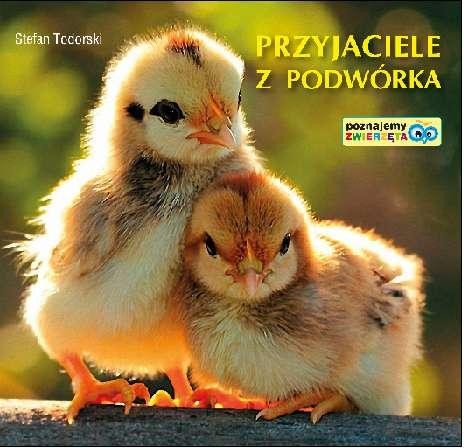 Przejdź do produktu PRZYJACIELE Z PODWÓRKA, STEFAN TODORSKI