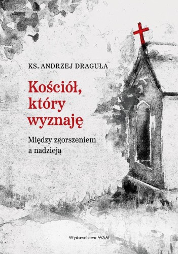 Przejdź do produktu KOŚCIÓŁ, KTÓRY WYZNAJĘ. MIĘDZY ZGORSZENIEM A...