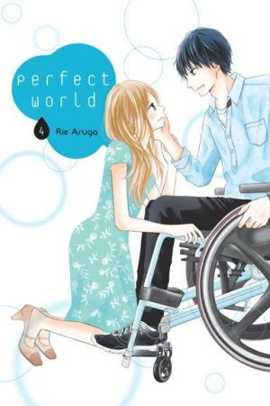 Perfect World. Tom 4, Rie Aruga