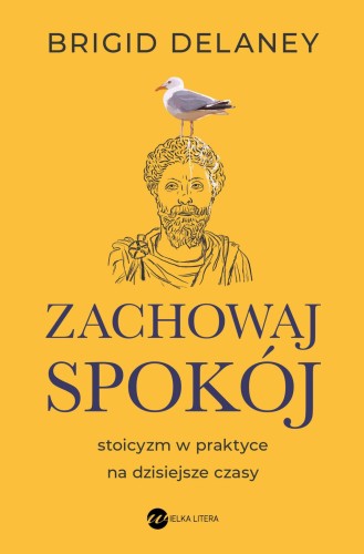 Przejdź do produktu ZACHOWAJ SPOKÓJ. STOICYZM W PRAKTYCE NA...