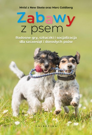 Zabawy z psem. Radosne gry, sztuczki i...