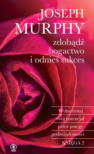 Przejdź do produktu ZDOBĄDŹ BOGACTWO I ODNIEŚ SUKCES. WYKORZYSTAJ...