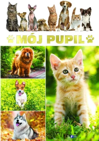 Mój pupil, Opracowanie Zbiorowe
