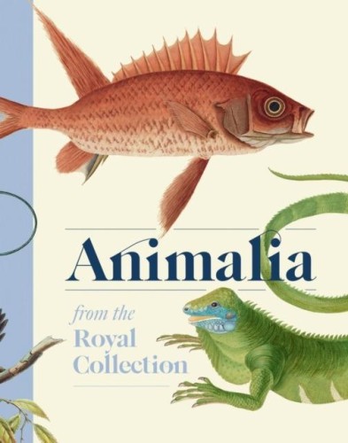 Przejdź do produktu ANIMALIA WER. ANGIELSKA, ANDREW BROWN