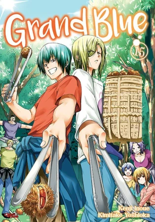 Grand Blue. Tom 15, Kenji Inoue,Kimitake Yoshioka