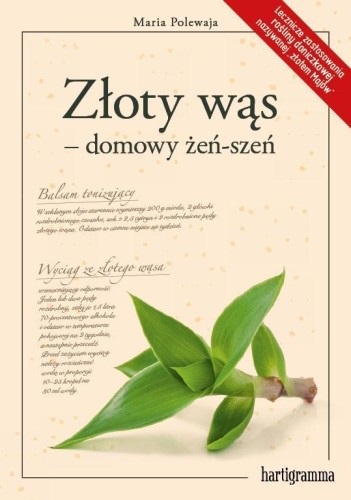 Przejdź do produktu ZŁOTY WĄS - DOMOWY ŻEŃ-SZEŃ, MARIA POLEWAJA