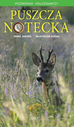 Przejdź do produktu PUSZCZA NOTECKA. PRZEWODNIK KRAJOZNAWCZY