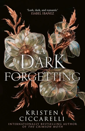 A Dark Forgetting, Kristen Ciccarelli