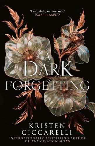 Przejdź do produktu A DARK FORGETTING, KRISTEN CICCARELLI