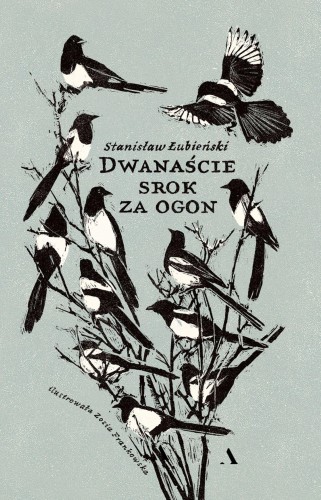Przejdź do produktu DWANAŚCIE SROK ZA OGON, STANISŁAW ŁUBIEŃSKI