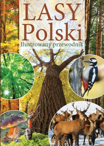 Przejdź do produktu LASY POLSKI ILUSTROWANY PRZEWODNIK