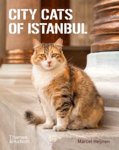 Przejdź do produktu CITY CATS OF ISTANBUL, MARCEL HEIJNEN