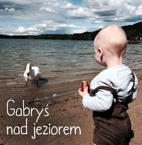 Przejdź do produktu GABRYŚ NAD JEZIOREM, AGNIESZKA STAROK