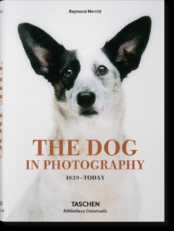 The Dog in Photography 1839-Today wer. angielska