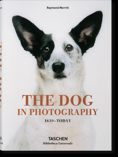 Przejdź do produktu THE DOG IN PHOTOGRAPHY 1839-TODAY WER. ANGIELSKA