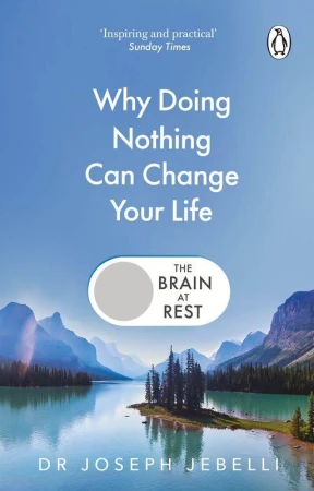The Brain at Rest. Why doing nothing can...