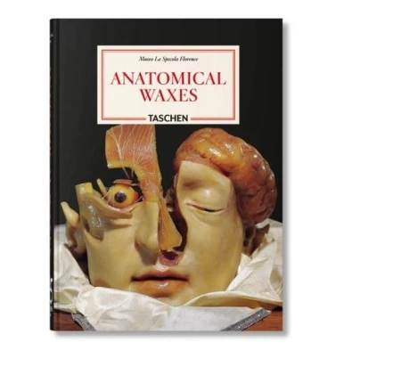 Anatomical Waxes wer. angielska, Marta Poggesi