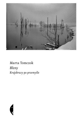 Przejdź do produktu BLIZNY. KRAJOBRAZY PO PRZEMYŚLE, MARTA TOMCZOK