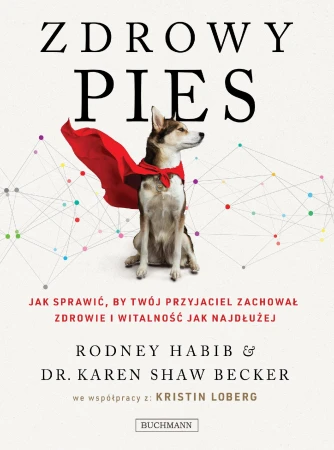 Zdrowy pies. jak sprawić, by twój przyjaciel...