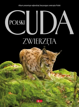 Zwierzęta. Cuda Polski, Łukasz Przybyłowicz