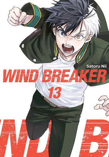 Przejdź do produktu WIND BREAKER. TOM 13, SATORU NII