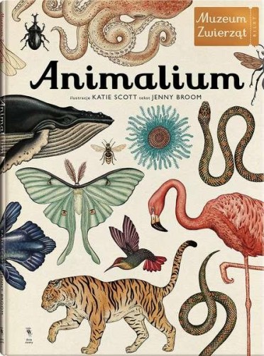 Przejdź do produktu ANIMALIUM MUZEUM ZWIERZĄT WYD. 3
