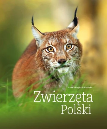 Zwierzęta Polski wyd. 2026, Renata Kosińska