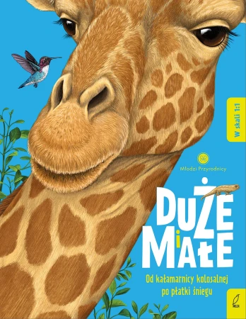 Duże i małe. Od kałamarnicy kolosalnej po...