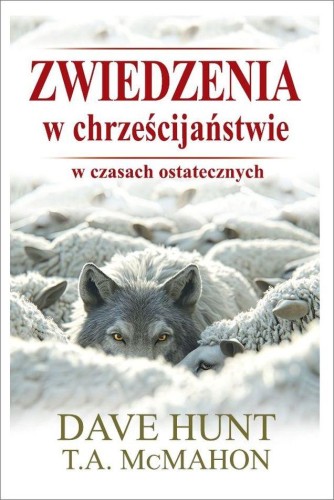 Przejdź do produktu ZWIEDZENIA W CHRZEŚCIJAŃSTWIE W CZASACH...