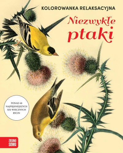 Przejdź do produktu NIEZWYKŁE PTAKI. KOLOROWANKA RELAKSACYJNA