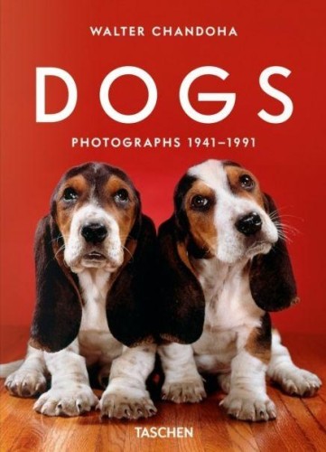 Przejdź do produktu DOGS. PHOTOGRAPHS 1941–1991, WALTER CHANDOHA.