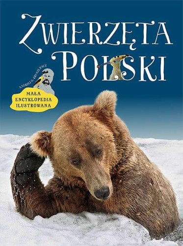 Przejdź do produktu ZWIERZĘTA POLSKI. MAŁA ENCYKLOPEDIA ILUSTROWANA