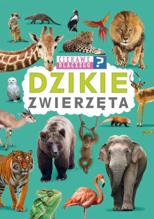 Dzikie zwierzęta. Ciekawe, dlaczego?