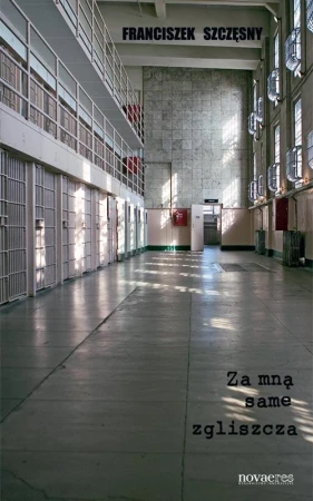 Za mną same zgliszcza, Franciszek Szczęsny