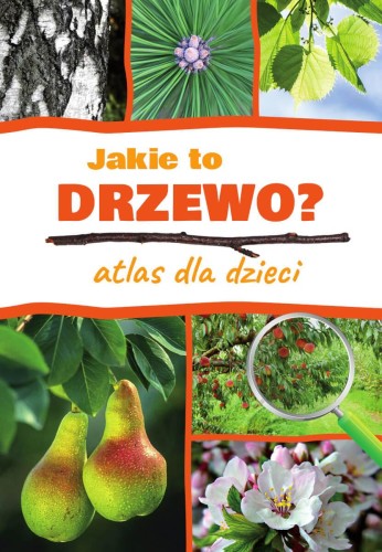 Przejdź do produktu JAKIE TO DRZEWO? ATLAS DLA DZIECI