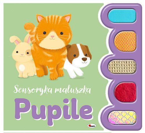 Przejdź do produktu PUPILE. SENSORYKA MALUSZKA