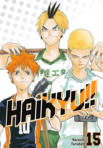 Przejdź do produktu HAIKYU!! TOM 15, HARUICHI FURUDATE
