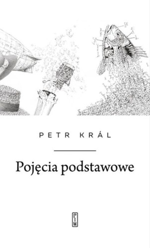 Przejdź do produktu POJĘCIA PODSTAWOWE, PETR KRAL