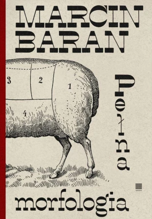 Pełna morfologia, Marcin Baran