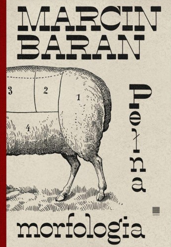 Przejdź do produktu PEŁNA MORFOLOGIA, MARCIN BARAN