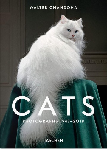Przejdź do produktu WALTER CHANDOHA. CATS. PHOTOGRAPHS 1942-2018...