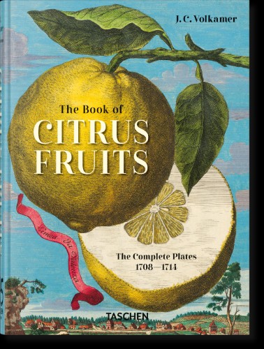 Przejdź do produktu J. C. VOLKAMER. THE BOOK OF CITRUS FRUITS....