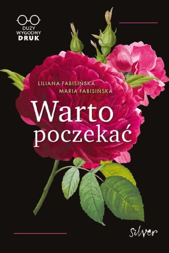 Przejdź do produktu WARTO POCZEKAĆ. DUŻY WYGODNY DRUK