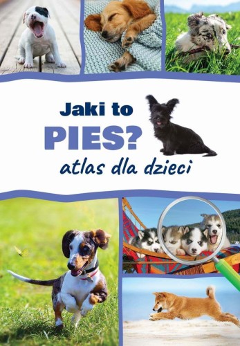 Przejdź do produktu JAKI TO PIES? ATLAS DLA DZIECI, ANNA IGLIKOWSKA