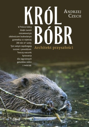 Przejdź do produktu KRÓL BÓBR. ARCHITEKT PRZYSZŁOŚCI, ANDRZEJ CZECH