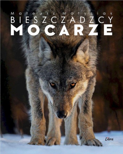 Przejdź do produktu BIESZCZADZCY MOCARZE WYD. 2, MATEUSZ MATYSIAK