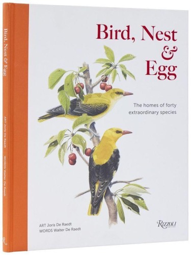 Przejdź do produktu BIRD, NEST & EGG, WALTER DE RAEDT