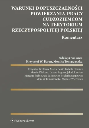 Warunki dopuszczalności powierzania pracy...