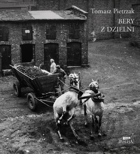 Przejdź do produktu BERY Z DZIELNI, TOMASZ PIETRZAK
