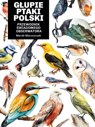 Przejdź do produktu GŁUPIE PTAKI POLSKI. PRZEWODNIK ŚWIADOMEGO...